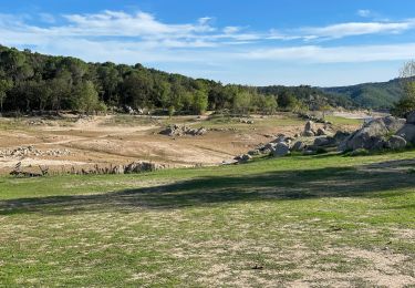 Trail Walking Darnius - Lac Boadella Darnius alentours  - Photo