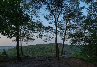 Tocht Te voet Tecklenburg - Teutoschleifchen Dreikaiserstuhl - Photo