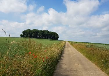 Trail Walking Liège - Rocourt - Sluizen - Vreren - Rocourt  - Photo