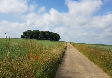 Excursión Senderismo Lieja - Rocourt - Sluizen - Vreren - Rocourt  - Photo