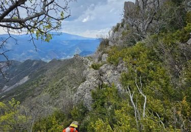 Tour Wandern Teyssières - chemin de Bernard  - Photo