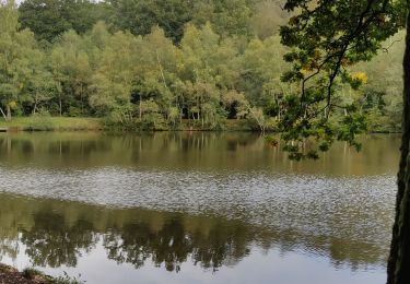Trail Walking Saint-Georges-de-Rouelley - La fosse Arthour - Photo