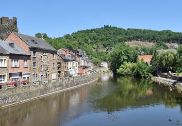 Tocht Te voet La Roche-en-Ardenne - 5. Samrée - Photo