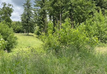 Tour Wandern Anhée - Bioul - Photo