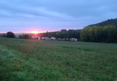 Tocht Stappen Saulny - saulny puis metz - Photo