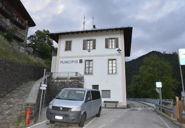 Randonnée A pied Vignola Falesina - Percorso Natura - Photo