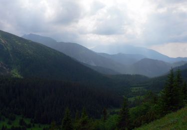 Tocht Te voet okres Poprad - Náučný chodník Monkova dolina - Photo