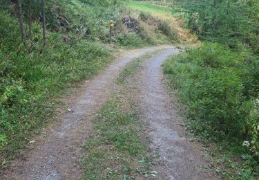 Tocht Stappen Saint-Paul-sur-Ubaye - le tour de tournoux  - Photo