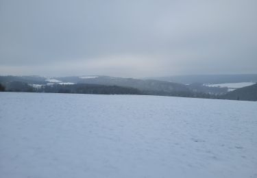 Randonnée Marche Assesse - rando crupet 19-01-2024 - Photo