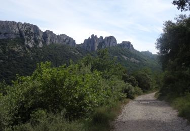 Randonnée V.T.T. Le Barroux - Le tour des dentelles de Montmirail depuis Bédoin VTT AE - Photo