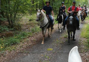 Trail Horseback riding Saint-Martin - rando equiplaine chez Tony et Jessica mais départ pour nous 2 de st Martin  - Photo