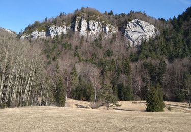 Tocht Stappen Chassal-Molinges - Chassal Le Truchet - Photo