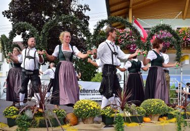 Randonnée A pied Kirchberg ob der Donau - Weinbergrunde - Photo