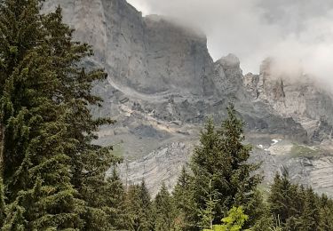 Tour Wandern Servoz - lac vert 2021 - Photo