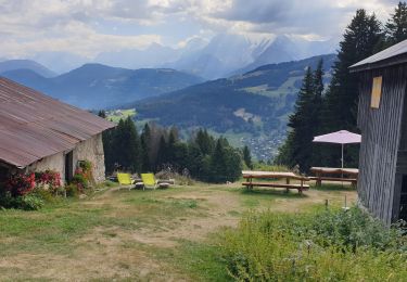 Percorso Corsa a piedi Demi-Quartier - Chalet de la vieille  - Photo