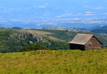 Trail Walking Anzat-le-Luguet - Anzat_Luguet_Signal - Photo