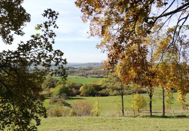 Tocht Mountainbike Lavalade - VTT vers Biron - Photo