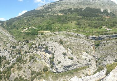 Tour Zu Fuß Escragnolles - Plateau de Briasq - Photo