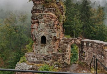 Trail Walking Wissembourg - Gr5J1 - Photo