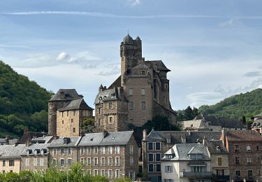 Randonnée sport Saint-Côme-d'Olt - Saint-Jacques deux St Côme > estaing - Photo