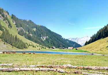 Tour Wandern Sixt-Fer-à-Cheval - Le Lac de Gers - Photo