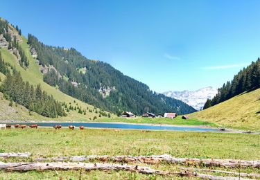 Tocht Stappen Sixt-Fer-à-Cheval - Le Lac de Gers - Photo