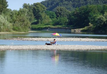 Randonnée A pied Santo Stefano di Magra - Riva sinistra del fiume Magra (percorso fluviale) - Photo