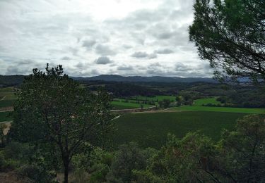 Trail Walking Saint-Hilaire - saint hilaire 30-09-2019 - Photo