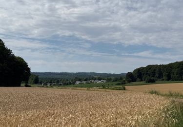 Randonnée sport Attert - Balisage GR 15 - Photo
