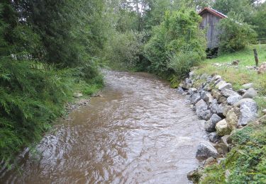 Randonnée A pied Slovenj Gradec - Šmarška farna pot - Photo