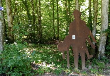Tour Wandern Vallées-en-Champagne - Baulne-en-Brie 