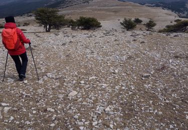 Tocht Stappen Caille - Cime de l'Audibergue  - Photo