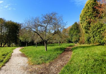 Percorso A piedi Glashütten - Glashütten Salzlecken-Rundweg - Photo