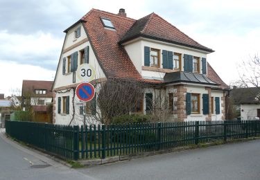 Tocht Te voet Röttenbach - Pferdeweg - Photo