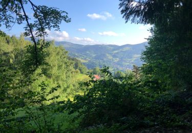 Trail Walking Munster - Tour vallée munster  - Photo