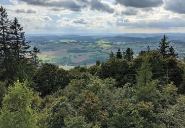 Percorso A piedi Marktrodach - FrankenwaldSteigla Muschelkalkweg - Photo