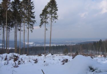 Tocht Te voet Preußisch Oldendorf - A2 Preußisch Oldendorf-Holzhausen - Photo