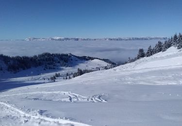 Trail Touring skiing Allevard - tricotage crête des Plagnes - Photo
