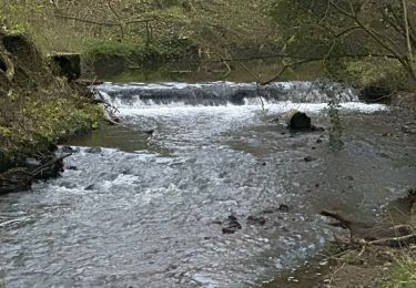 Randonnée Marche La Calamine - Kelmis 23,8 km - Photo