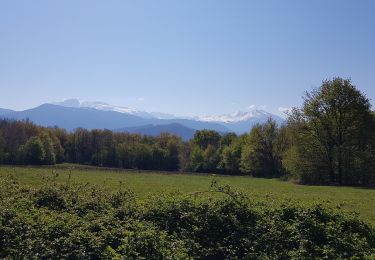 Percorso Camminata nordica Échirolles - La Frange Verte 10 km - Photo