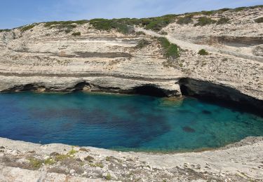 Tour Wandern Bonifacio - falaises face a Bonifacio  - Photo