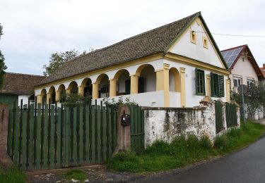 Percorso A piedi Cinquechiese - P▲ Patacs – Panoráma út – Babásszerkövek - Photo