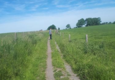 Trail Nordic walking Herve - Battice_Fort - Photo