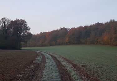 Tocht Stappen Viroinval - Adeps Mazée 17112019 - Photo