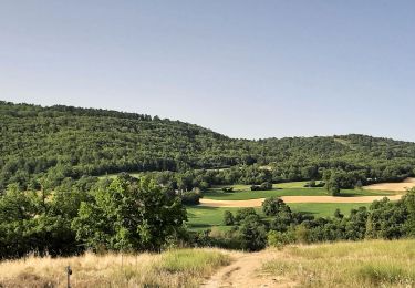 Percorso Marcia Villemus - lincel . Le gué du reculons.  Le prieuré d ardenne  - Photo