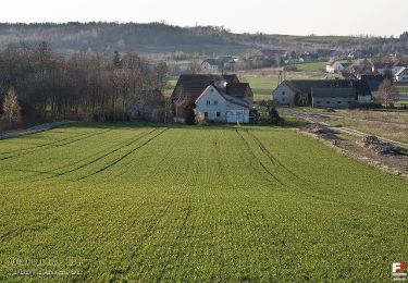 Tocht Te voet Dobroszów - Kuropatnik-Nowoleska Kopa - Photo