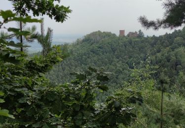 Randonnée V.T.T. Obernai - Mont St Odile - Photo