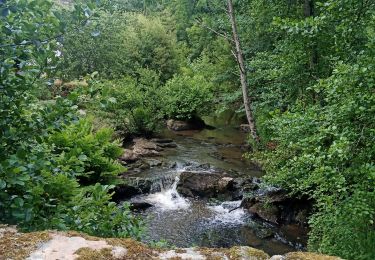 Trail Walking Chaillac - tour en partant de Chaillac  - Photo