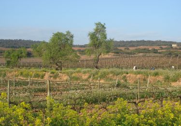 Randonnée Marche Logroño - CC_Frances_BC_08_Logrono_Najera_20100413 - Photo