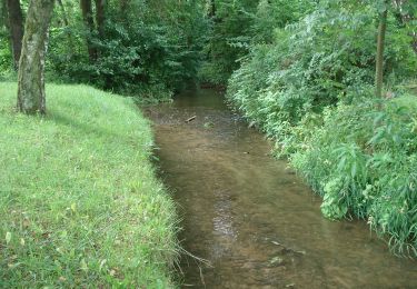 Trail On foot Lohr am Main - Ortswanderweg Lohr 2 - Photo